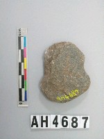 藏品(小砝碼型石網墜)的圖片